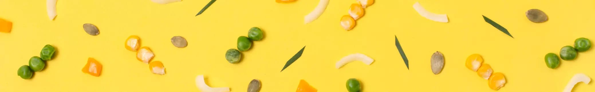 Mittagskarte placeholder